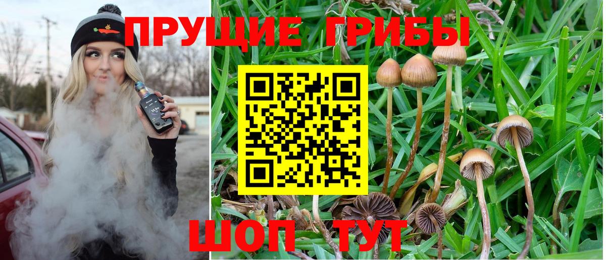 Галлюциногенные грибы Psilocybe  Вход с VPN  Галлюциногенные грибы Cubensis  Королёв 