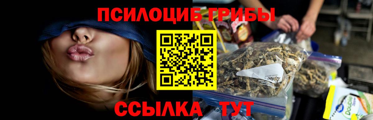 Галлюциногенные грибы Cubensis Королёв